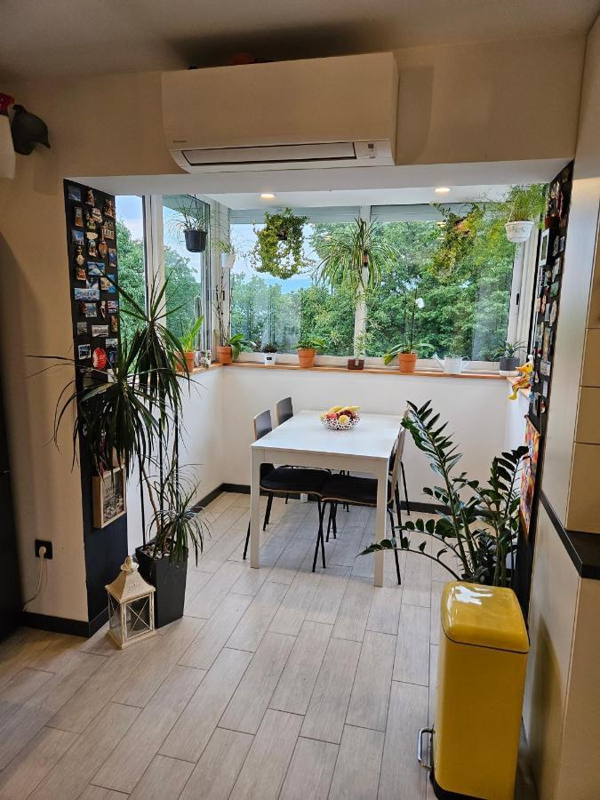 Apartman Carnevalus リエカ エクステリア 写真